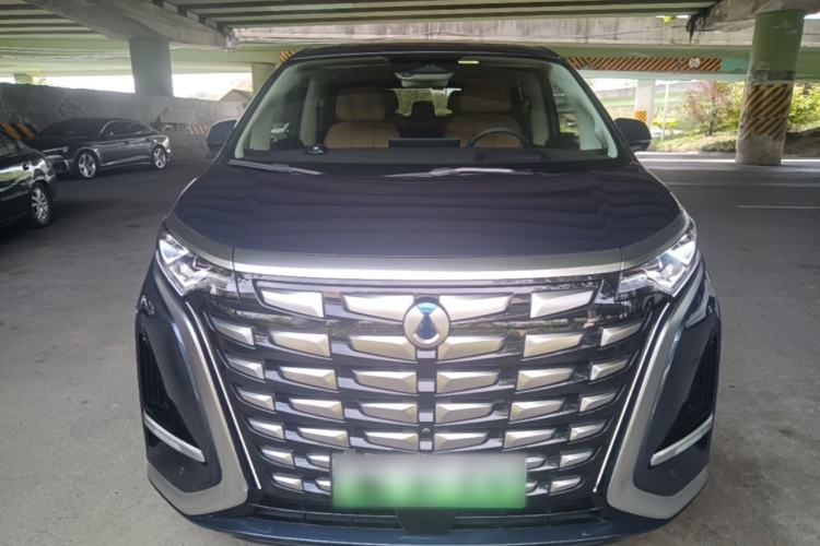 Used Denza D9 2024 DM-i 980 Four-Wheel Drive Flagship Model Front
