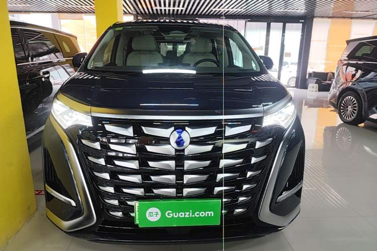 Used Denza D9 2024 DM-i 980 Four-Wheel Drive Prestige Model Front