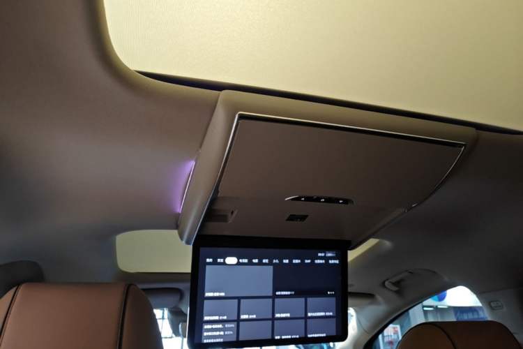 Used Denza D9 2024 DM-i 1050 Luxury Model Headliner