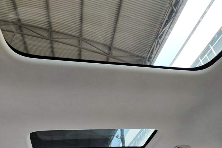 Used Denza D9 2024 DM-i 980 Four-Wheel Drive Flagship Model Headliner