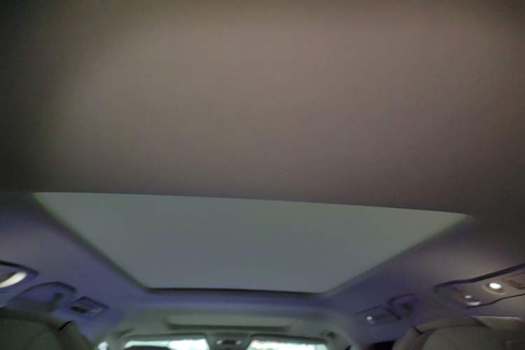 Used Denza D9 2024 DM-i 980 Four-Wheel Drive Prestige Model Headliner