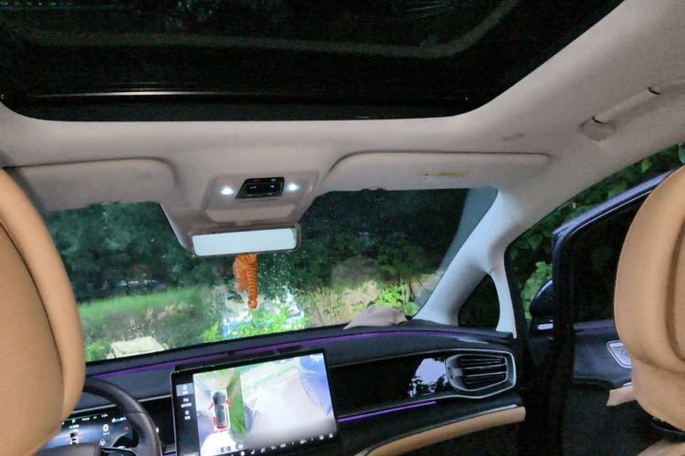 Used Denza D9 2024 EV 620 Premium Model Headliner