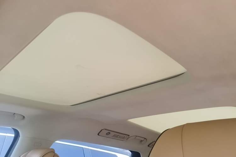 Used Denza D9 2024 DM-i 980 Four-Wheel Drive Flagship Model Headliner