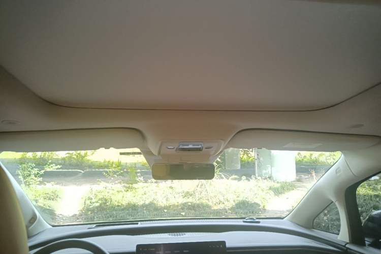 Used Denza D9 2024 DM-i 980 Four-Wheel Drive Flagship Model Headliner