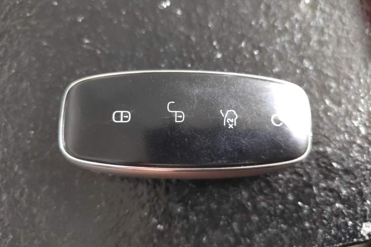 Used Denza D9 2024 DM-i 980 Four-Wheel Drive Flagship Model Vehicle Key
