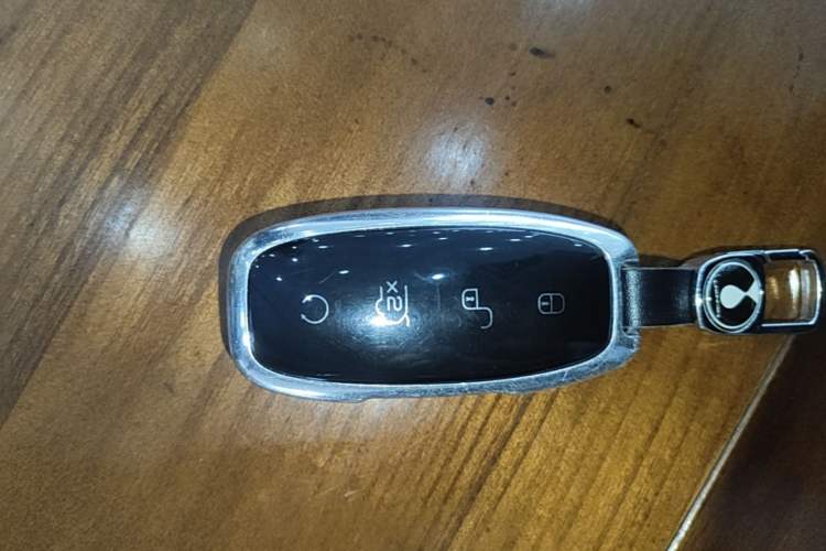 Used Denza D9 2024 DM-i 980 Four-Wheel Drive Flagship Model Vehicle Key