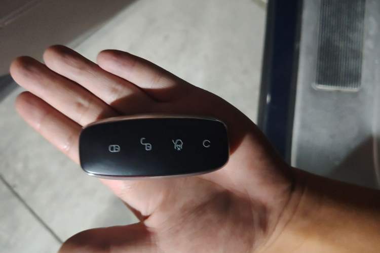 Used Denza D9 2024 DM-i 980 Four-Wheel Drive Flagship Model Vehicle Key