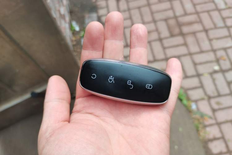 Used Denza D9 2024 DM-i 1050 Luxury Model Vehicle Key