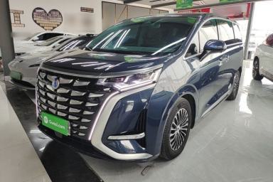 Used Denza D9 2024 DM-i 980 Four-Wheel Drive Flagship Model