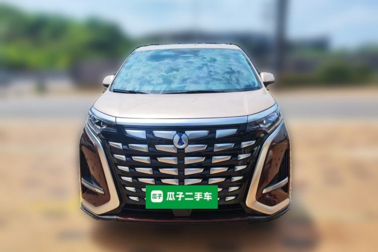 Used Denza D9 2024 DM-i 980 Four-Wheel Drive Prestige Model Front