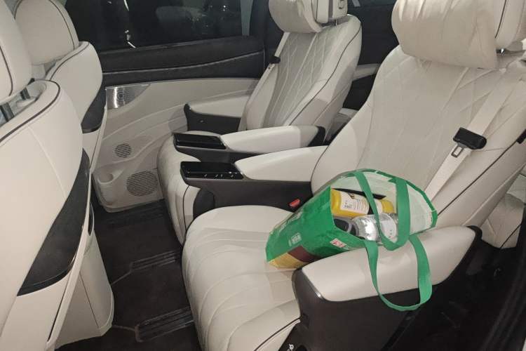 Used Denza D9 2024 DM-i 970 Luxury Model Left Rear Seat