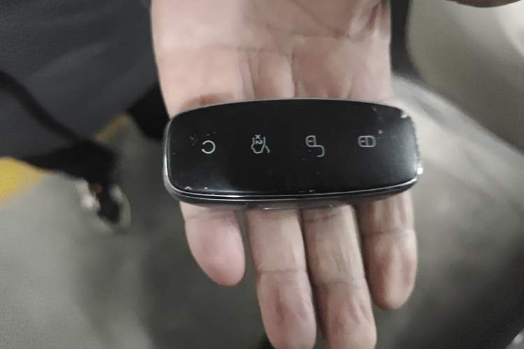 Used Denza D9 2024 DM-i 970 Luxury Model Vehicle Key