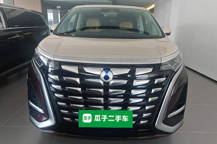 Used Denza D9 2024 DM-i 980 Four-Wheel Drive Prestige Model Front