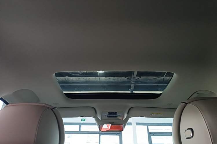 Used Denza D9 2024 DM-i 980 Four-Wheel Drive Prestige Model Headliner