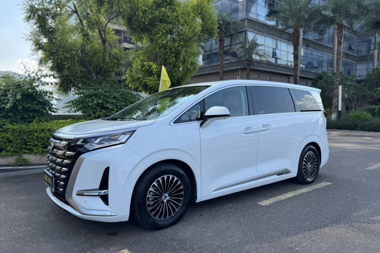 Denza D9 2024 DM-i 1050 Luxury Model