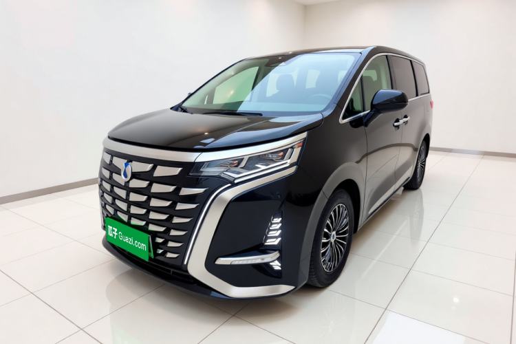 Denza D9 2024 DM-i 980 Four-Wheel Drive Prestige Model - Executive