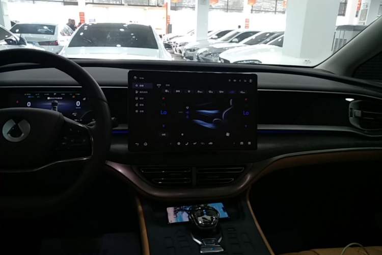 Used Denza D9 2024 DM-i 980 Four-Wheel Drive Prestige Model Audio And AC Panel