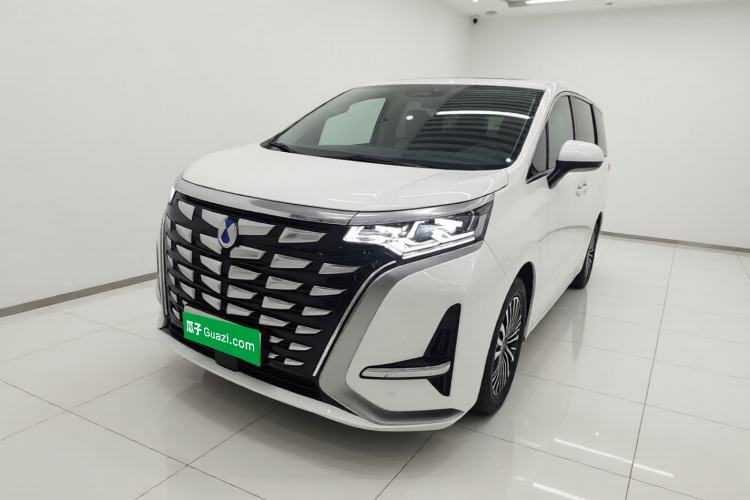 Denza D9 2024 DM-i 980 Four-Wheel Drive Prestige Model - Executive