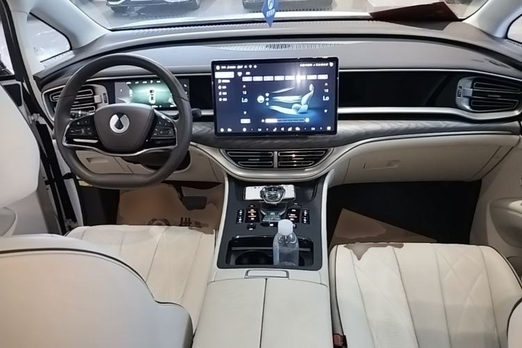 Used Denza D9 2024 DM-i 1050 Luxury Model Center Console
