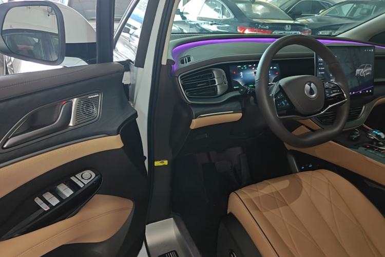 Used Denza D9 2024 DM-i 1050 Luxury Model Driver Seat