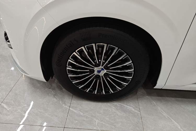 Used Denza D9 2024 DM-i 980 Four-Wheel Drive Prestige Model Exterior 4