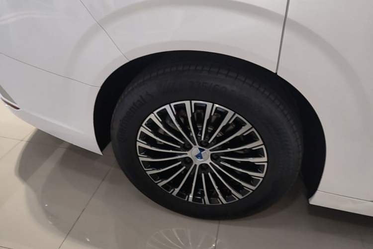 Used Denza D9 2024 DM-i 980 Four-Wheel Drive Prestige Model Exterior 5