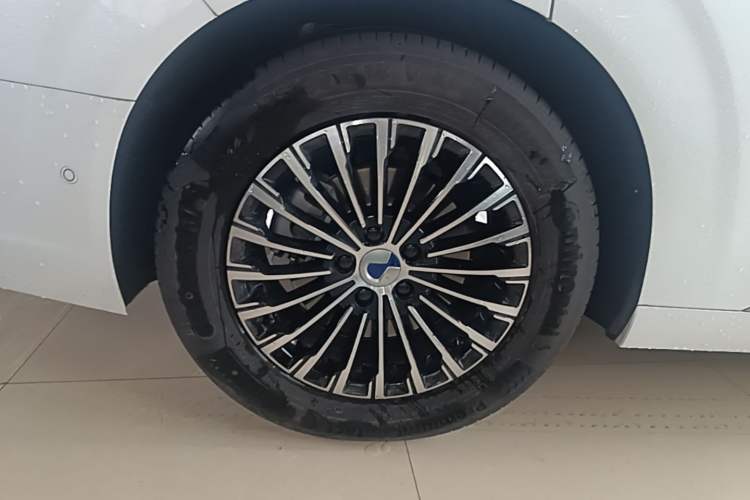 Used Denza D9 2024 DM-i 980 Four-Wheel Drive Flagship Model Exterior 5