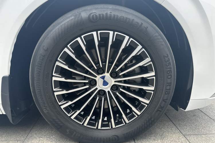 Used Denza D9 2024 EV 600 Four-Wheel Drive Prestige Model Exterior 7