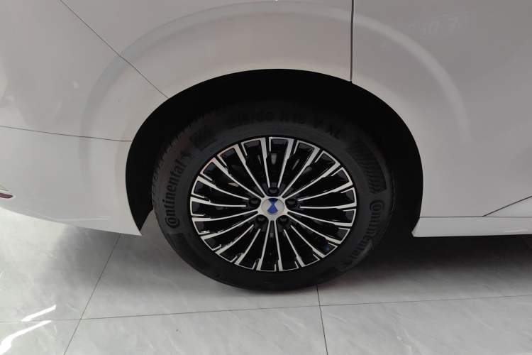 Used Denza D9 2024 DM-i 970 Luxury Model Exterior 8