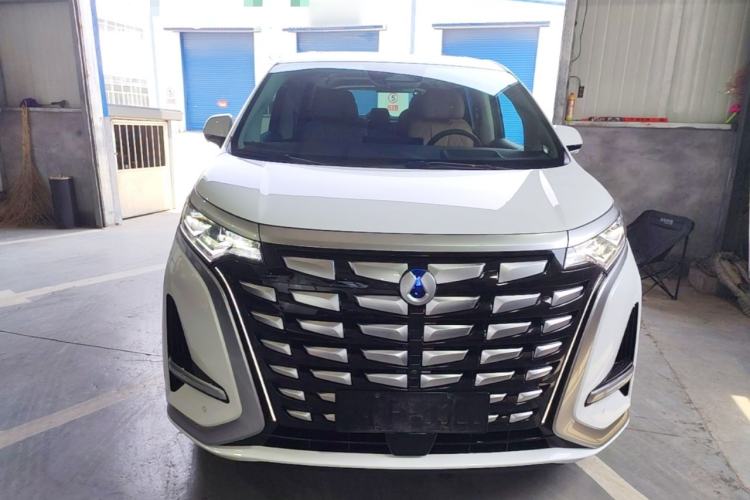 Used Denza D9 2024 DM-i 980 Four-Wheel Drive Flagship Model Front