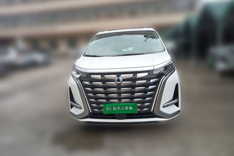 Used Denza D9 2024 DM-i 980 Four-Wheel Drive Prestige Model Front