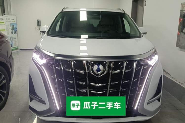 Used Denza D9 2024 DM-i 980 Four-Wheel Drive Prestige Model Front
