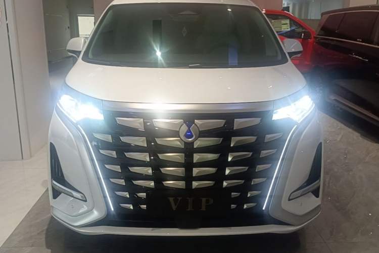 Used Denza D9 2024 DM-i 980 Four-Wheel Drive Prestige Model Front