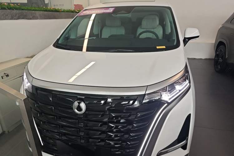 Used Denza D9 2024 DM-i 980 Four-Wheel Drive Prestige Model Front