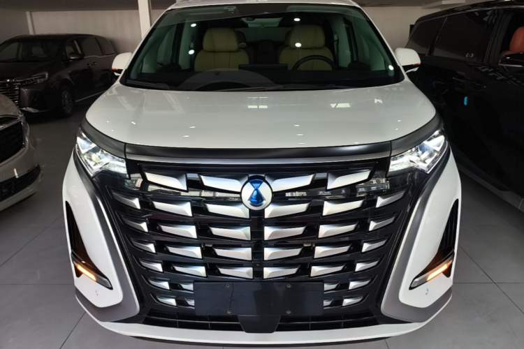 Used Denza D9 2024 DM-i 980 Four-Wheel Drive Prestige Model Front