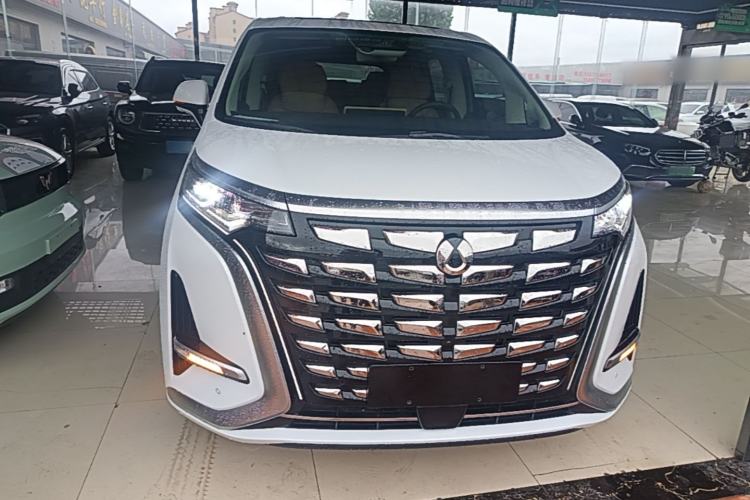 Used Denza D9 2024 DM-i 980 Four-Wheel Drive Flagship Model Front