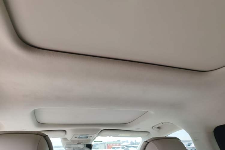 Used Denza D9 2024 DM-i 980 Four-Wheel Drive Flagship Model Headliner