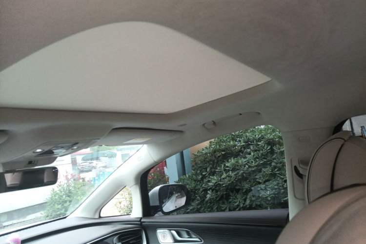 Used Denza D9 2024 DM-i 980 Four-Wheel Drive Flagship Model Headliner