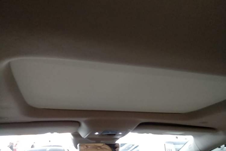 Used Denza D9 2024 DM-i 980 Four-Wheel Drive Prestige Model Headliner