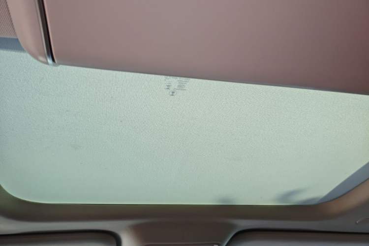 Used Denza D9 2024 DM-i 1050 Luxury Model Headliner