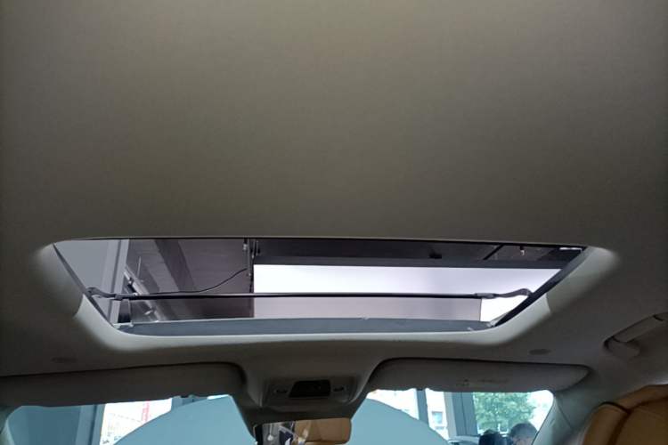 Used Denza D9 2024 DM-i 980 Four-Wheel Drive Prestige Model Headliner