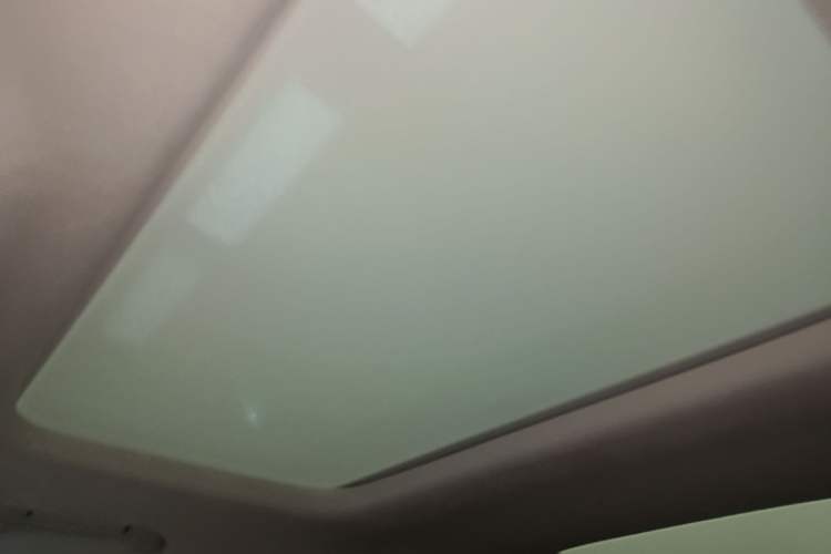 Used Denza D9 2024 DM-i 980 Four-Wheel Drive Flagship Model Headliner