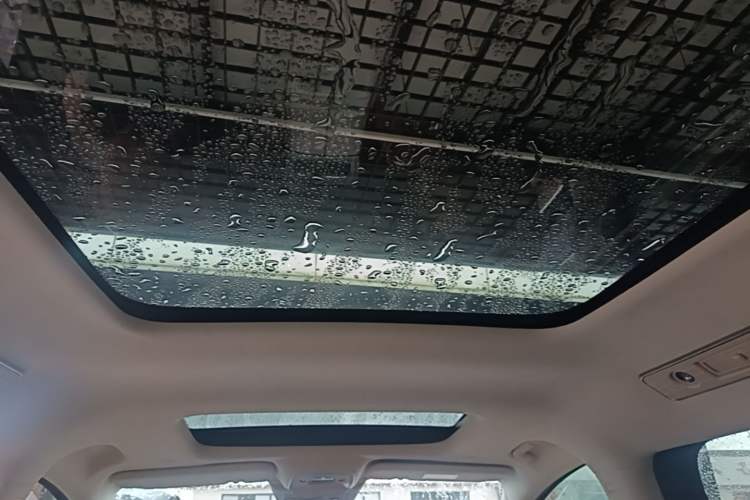 Used Denza D9 2024 DM-i 980 Four-Wheel Drive Flagship Model Headliner