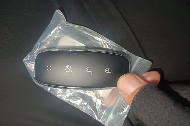 Used Denza D9 2024 DM-i 980 Four-Wheel Drive Flagship Model Interior 1