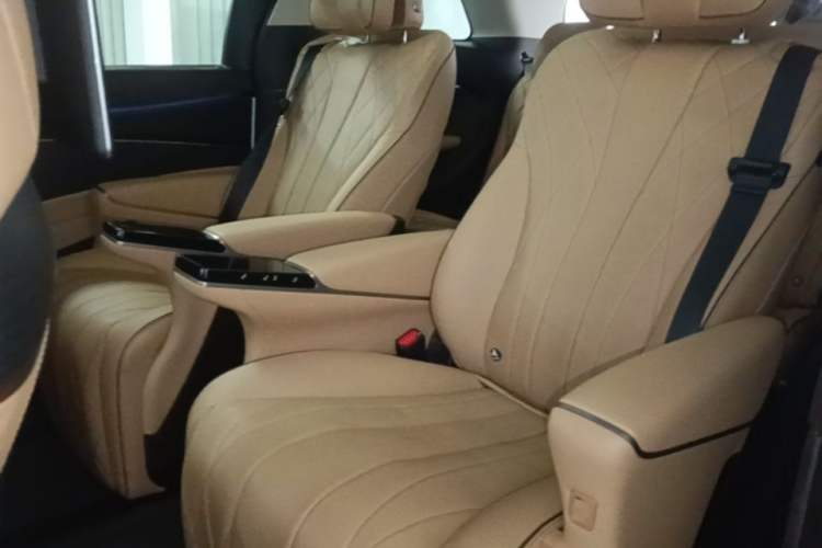 Used Denza D9 2024 DM-i 980 Four-Wheel Drive Prestige Model Left Rear Seat