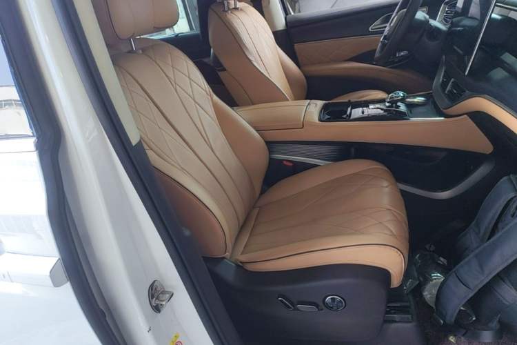 Used Denza D9 2024 DM-i 980 Four-Wheel Drive Flagship Model Right Front Seat