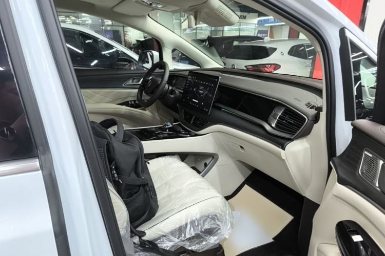 Used Denza D9 2024 DM-i 980 Four-Wheel Drive Prestige Model Right Front Seat