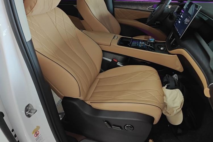 Used Denza D9 2024 DM-i 1050 Luxury Model Right Front Seat