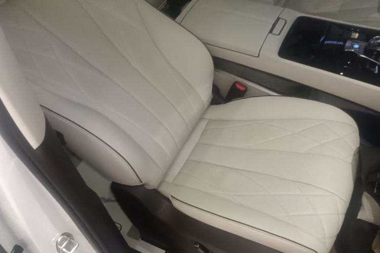 Used Denza D9 2024 DM-i 980 Four-Wheel Drive Prestige Model Right Front Seat
