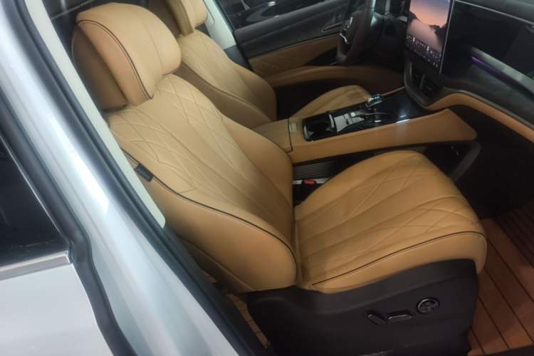 Used Denza D9 2024 DM-i 980 Four-Wheel Drive Prestige Model Right Front Seat